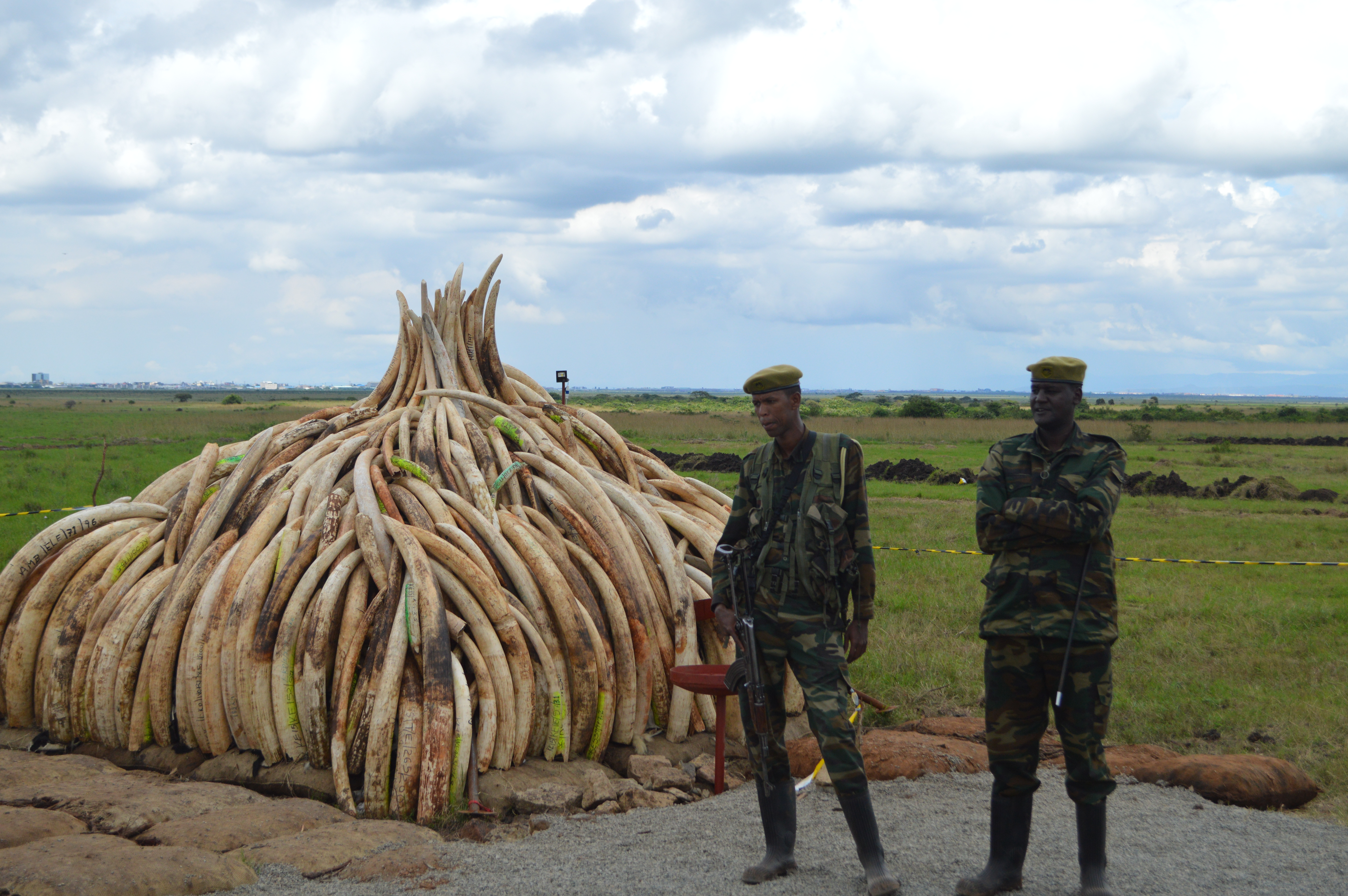 In Kenya, ivory tusks burned to deter poachers